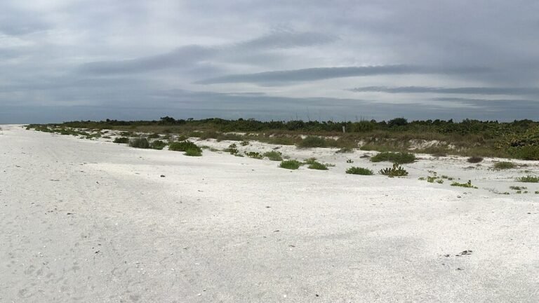 Best Beaches on Sanibel & Captiva: Parking, Crowds & Which to Pick