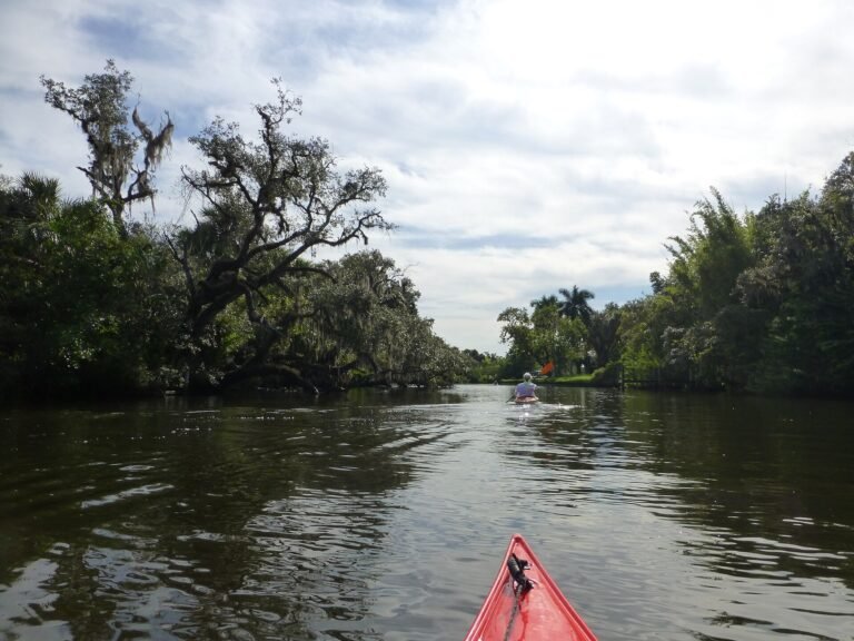 Things to Do on Sanibel & Captiva: Shelling Trips, Fishing Charters, Parasailing, Bikes & Scooters